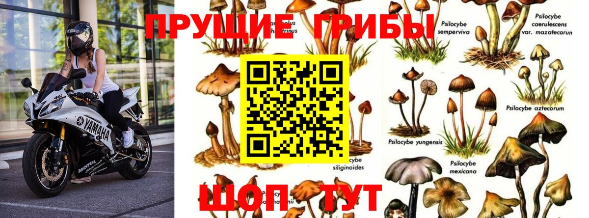 МЕТАДОН Оренбург